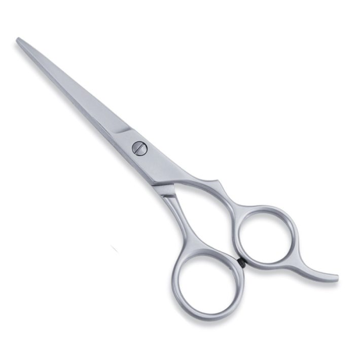 Economy Hair Scissor - Image 1