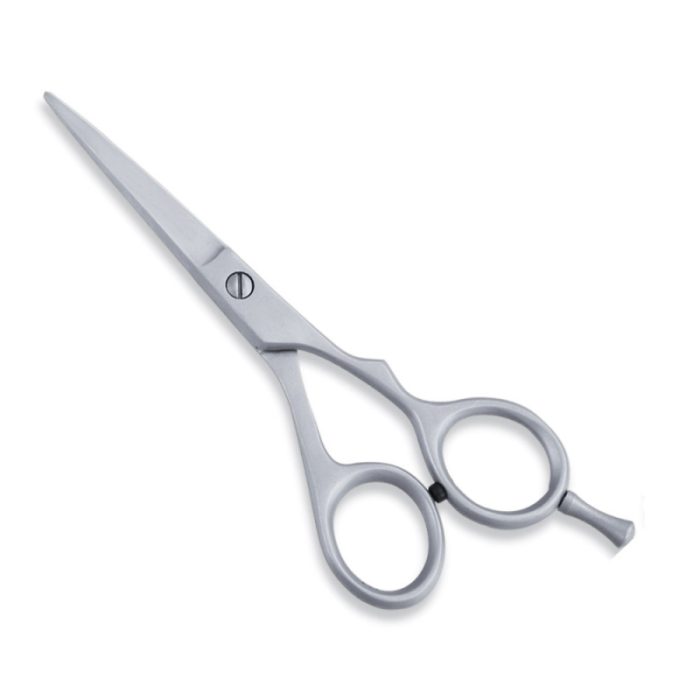 Economy Hair Scissor - Image 1