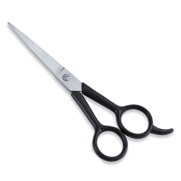 Economy Hair Scissor - Image 1