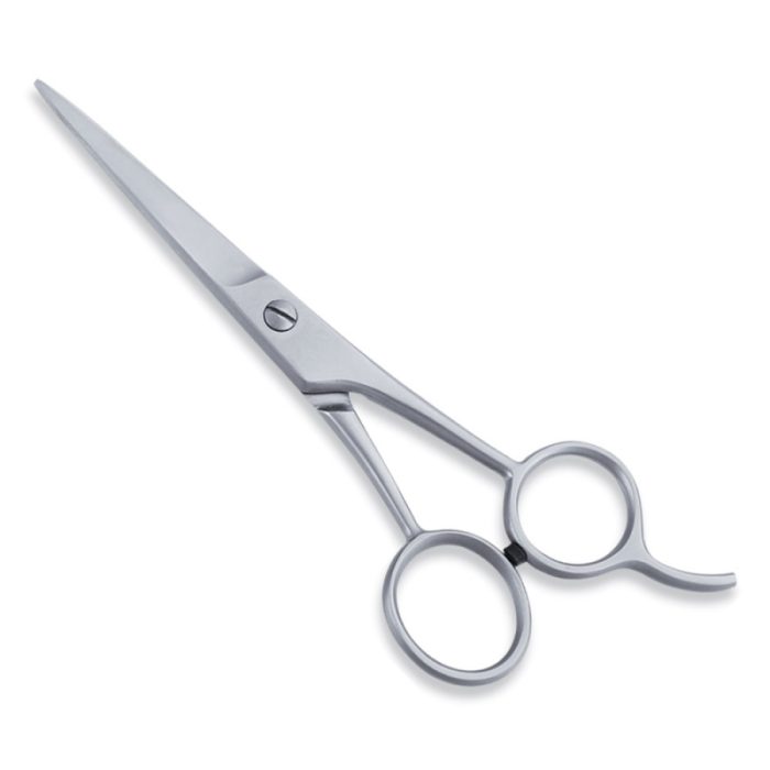 Economy Hair Scissor - Image 1
