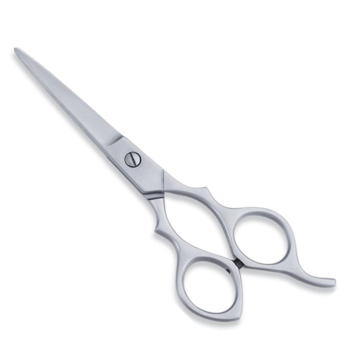 Economy Hair Scissor - Image 1