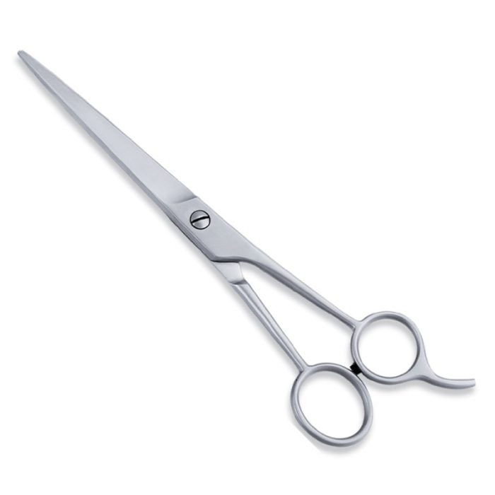 Economy Hair Scissor - Image 1