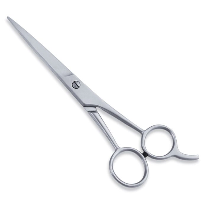 Economy Hair Scissor - Image 1